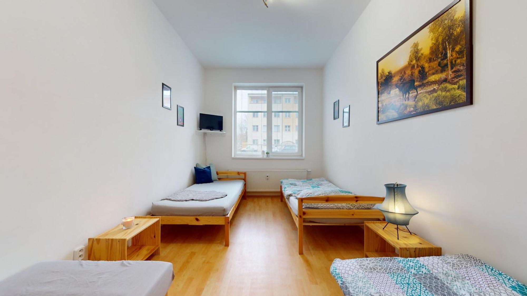 Apartman Topolova 912B ميلوفيتسي المظهر الخارجي الصورة